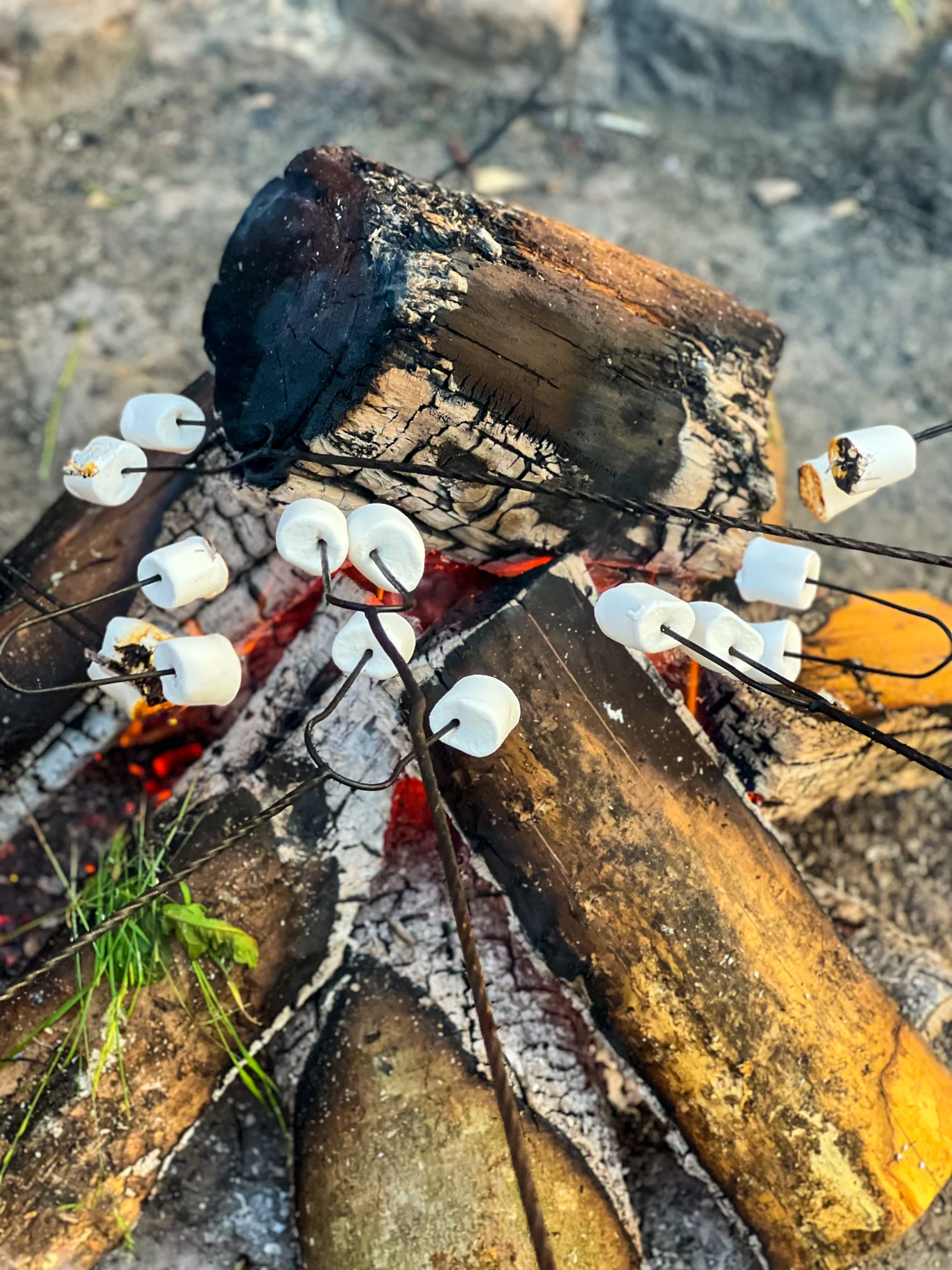 2022-06-29 20.33.14 (1)